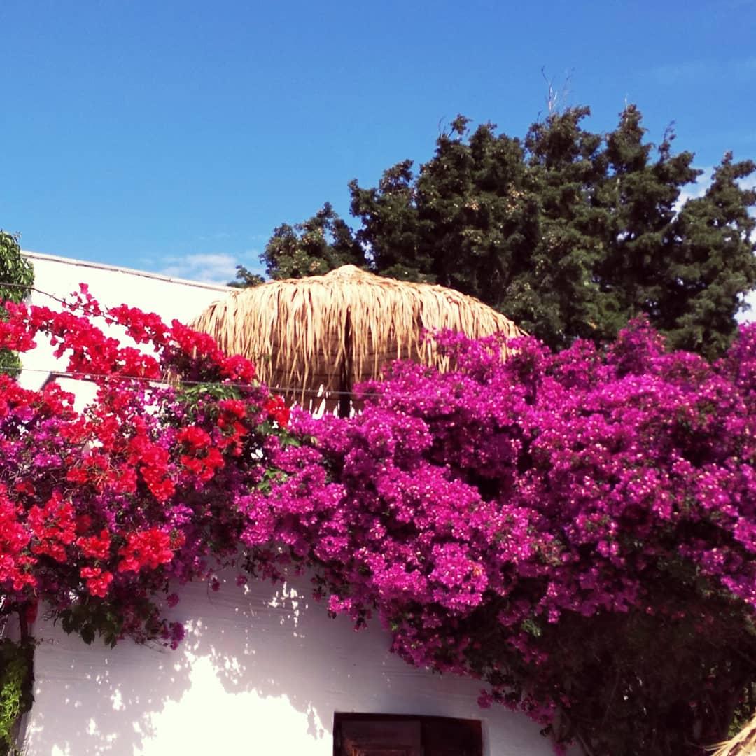 Naxos Summerland Resort Kastraki  Ngoại thất bức ảnh